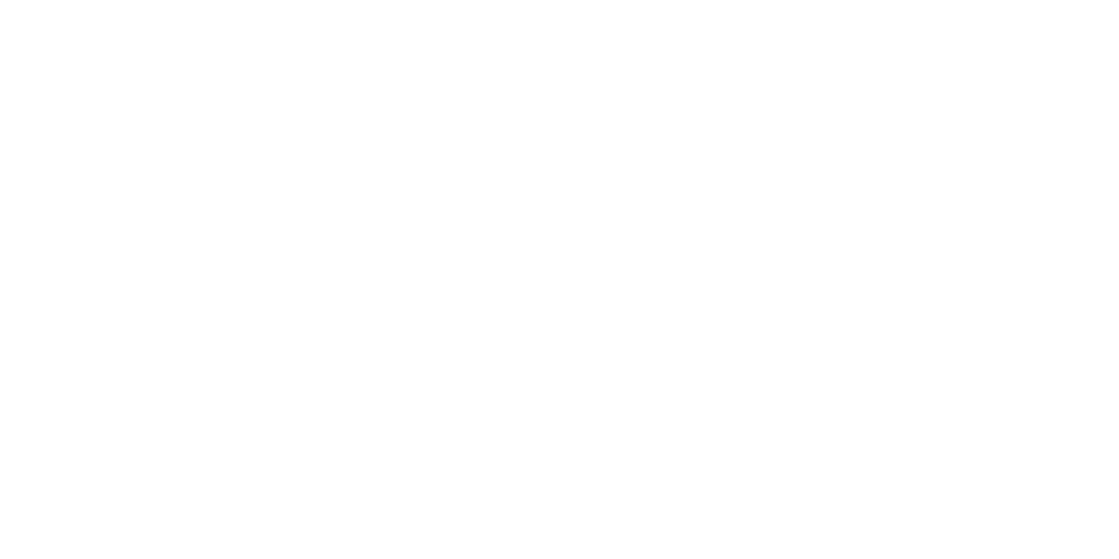 Playmora Logo